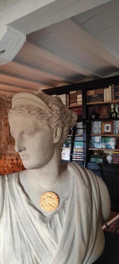 Maison Baron De La Galleta B&B Quintanilla las Torres Εξωτερικό φωτογραφία